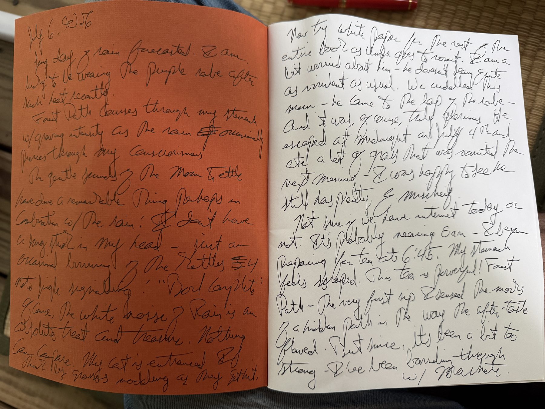 A handwritten journal spread — orange page on the left, white on the right — dated July 6